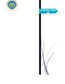 CRITERIOS NUGENT Y AMSEL