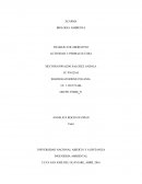 TRABAJO COLABORATIVO ACTIVIDAD 3: PERMACULTURA