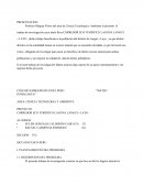 CORREDOR ECO TURISTICO.