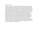 Monstruos del olvido.