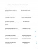 IMPORTANCIA ECOLOGICA, ECONOMICA Y MÉDICA DEL MEDIO AMBIENTE