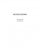 MICROECONOMÍA Trabajo.