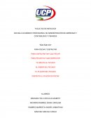 Ñuk Ñuk Ice - Raspadilla Energizantes