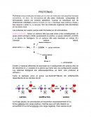 CLASIFICACION DE AMINOÁCIDOS.