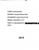 La sobrepoblacion en las grandes urbes