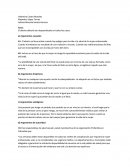 El aborto debería ser despenalizado en todos los casos.