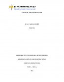 Ciclo de vida de la empresa MEGA LTDA