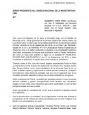 ESCRITO PARA EL CONSEJO NACIONAL DE LA MAGISTRATURA.