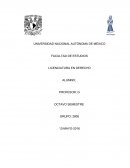 LOS RECURSOS EN EL JUICIO DE AMPARO.