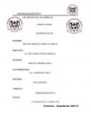 PRÁCTICA CRIMINOLÓGICA.