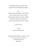 COPILACIÓN DE ACTIVIDADES IDIVIDUALES.