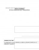 IMPLEMENTACION DEL SISTEMA FINANCIERO PARA PIKOLINO