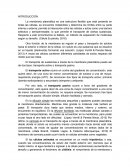 La membrana plasmática.