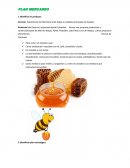 Exportación de Miel Natural de Abeja a ciudades principales de España