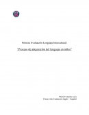 Proceso de adquisición del lenguaje en niños