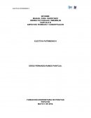 ASPECTOS TEORICOS Y CONCEPTUALES ELECTIVA PATRIMONIO II