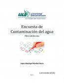 Encuesta de Contaminación del agua. Mercadotecnia