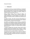 Tema: Presupuesto de operacion.