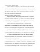 El desarrollo del niño y la práctica docente.