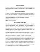 Auditoria y sus pasos