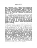 Tema: Maltrato animal.