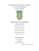 Código ético del asesor psicopedagógico