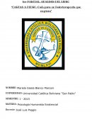 Cartas a Pedro: Guía para un psicoterapeuta que empieza