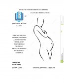 ATENCION INTEGRAL A LOS USUARIOS PARA LA DISMINUCIÓN DE MORBILIDAD Y MORTABILIDAD MATERNA Y PRENATAL MEDIANTE LA VIGILANCIA GESTIONAL