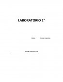 Finanzas ejercicios bonos acciones