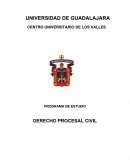 PROGRAMA PROCESAL CIVIL (MODIFICADO).