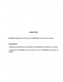General: Analizar las causas de la inestabilidad económica en el país.