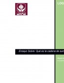 Administración de la cadena de suministros.