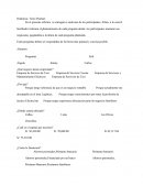 Informe Texto Puntual