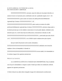 TEMA- DEMANDA LABORAL. Página 1