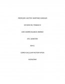 COMO CALCULAR FACTOR FATIGA ANDY BLANCO.