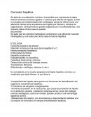 Corrosión hepática
