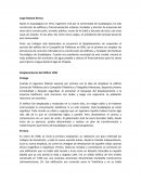 Ingeniero Jorge Matute Remus