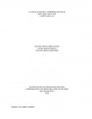 LA EDUCACION DE LA PRIMERA INFANCIA.