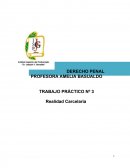 Tema: Servicio penitenciario federal