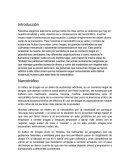 NARCOTRAFICO. El tráfico de drogas es un delito de sustancias adictivas