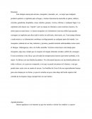 Proyecto trampa caza mosquitos