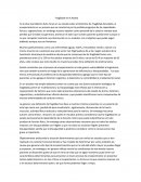 Fragilidad en el adulto mayor