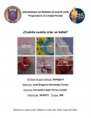 Actividad Bebé Biología 2 PIA