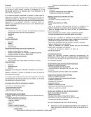 ALmacenes. El almacén es un espacio del que disponen casi todas las empresas