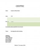 Tema: Investigación sobre hosting