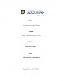 Descripción del Puesto de Trabajo