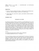 ENSAYO A LA LLAMA E IDENTIFICACION DE SUSTANCIAS SOLIDAS
