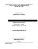 ESTUDIO DE CASO: IDENTIFICACIÓN DE LAS PRINCIPALES ESTRATEGIAS UTILIZADAS POR UNA CADENA DE ABASTECIMIENTO