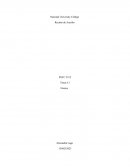 TEMA: Ensayo de PYSC 2510