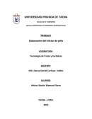 Tecnología de frutas y hortalizas. Elaboración del néctar de piña